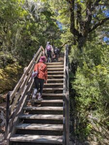 Devils Punchbowl Falls Track