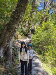 Devils Punchbowl Falls Track