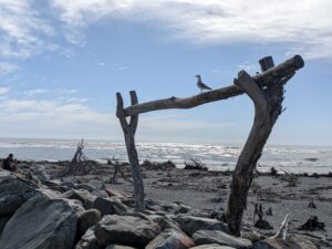 Hokitika Art