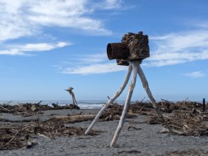 HOKITIKA ART