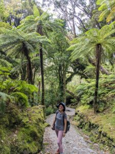 Franz Josef Glacier Douglas Walk