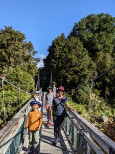 馬松森湖步道 Lake Matheson Walk