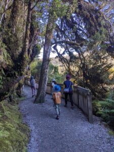 馬松森湖步道 Lake Matheson Walk