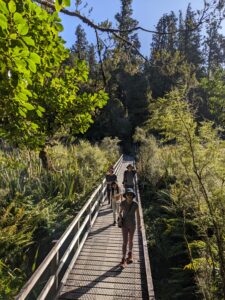 馬松森湖步道 Lake Matheson Walk