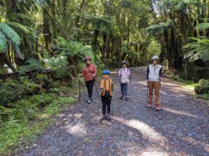 Fox Glacier South Side walk