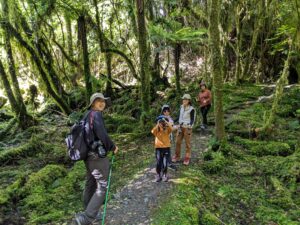 Fox Glacier South Side walk