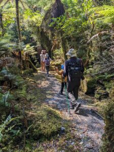 Fox Glacier South Side walk