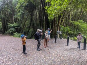 Fox Glacier South Side walk