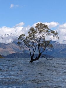 New Zealand瓦納卡(Wanaka)