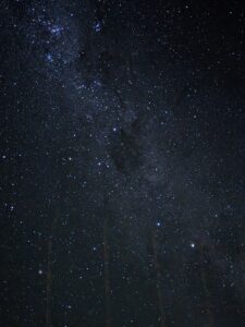 Kea Point Track