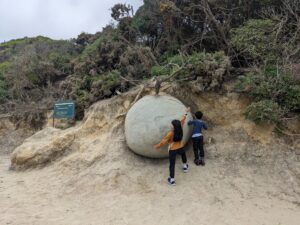 摩拉基圓石海灘 Moeraki Boulders Beach