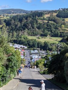 Baldwin Street Dunedin