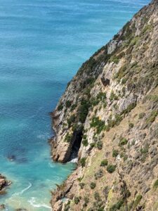 Nugget Point Cliff View