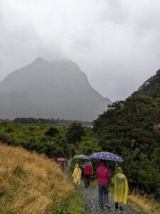 Milford Sound