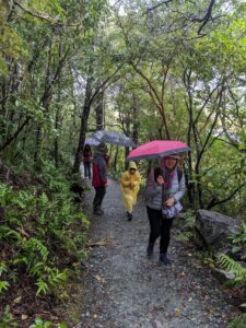 Milford Sound