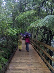 Milford Sound